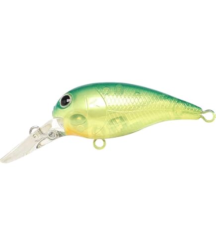 FDカスタムベイツ クランクベイト ルアー 製作キット ４個セット Amazon.co.jp: FD custom baits × skillful クランクベイト